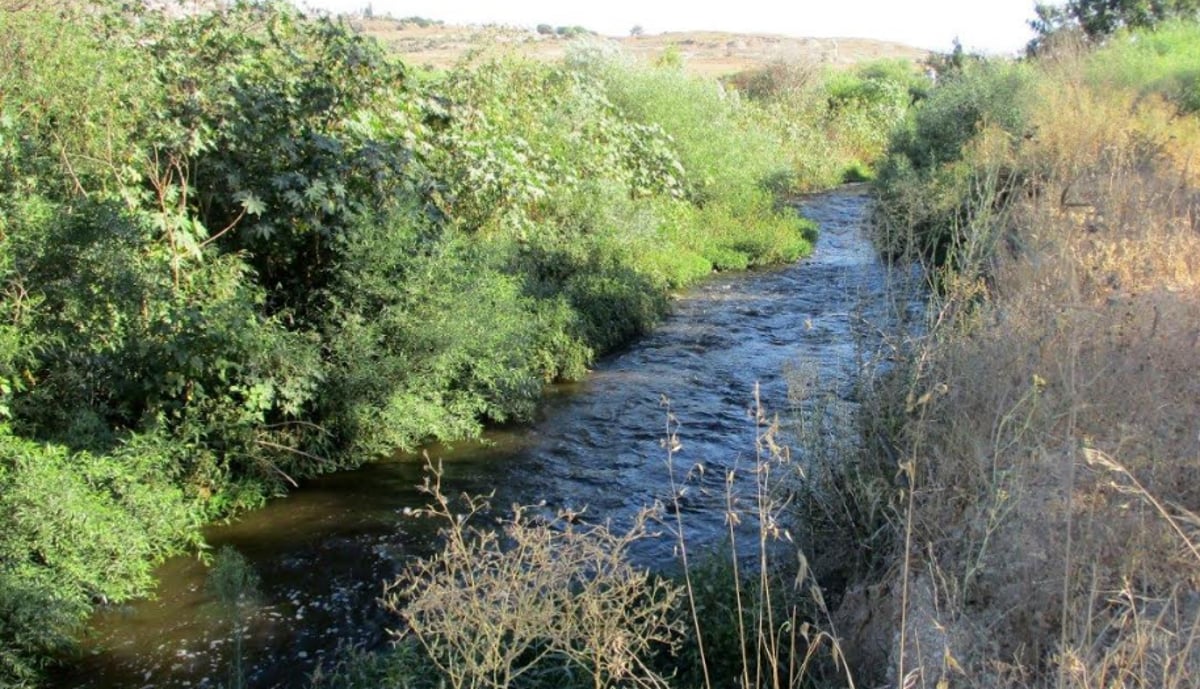 טיול דרך עדשת המצלמה בהרי יהודה הירוקים