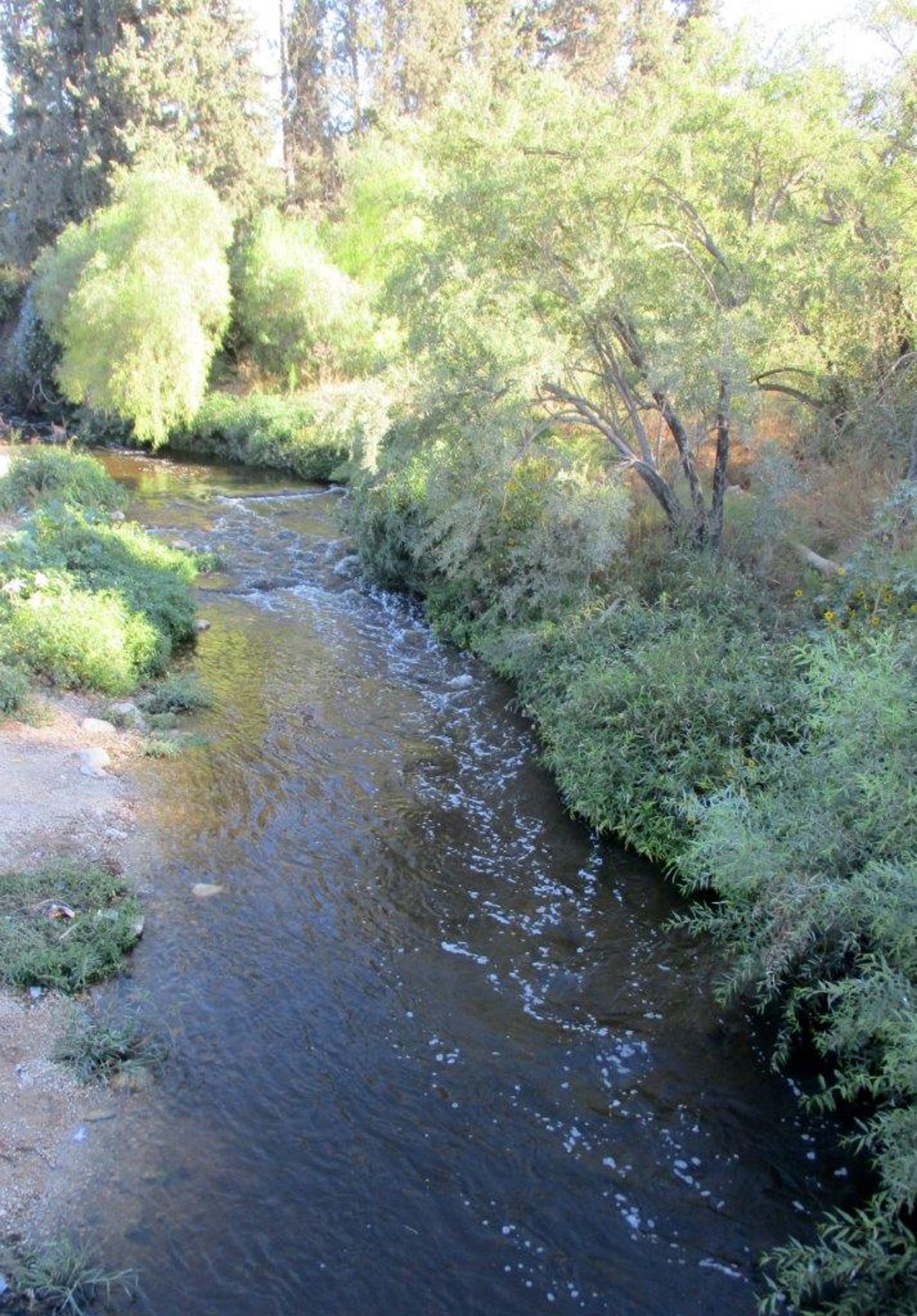 טיול דרך עדשת המצלמה בהרי יהודה הירוקים