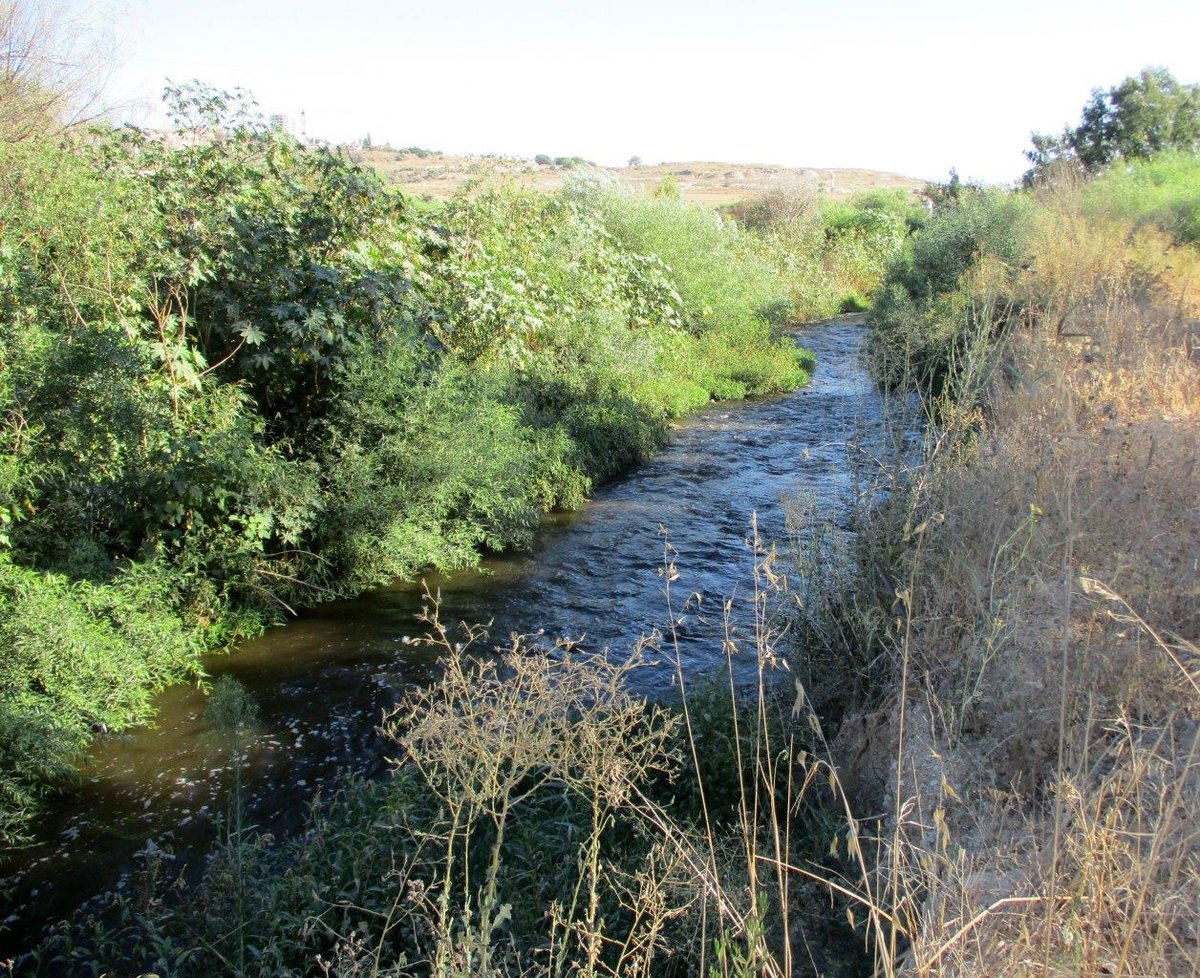 טיול דרך עדשת המצלמה בהרי יהודה הירוקים