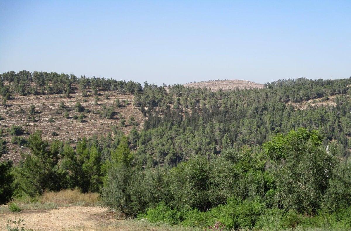 טיול דרך עדשת המצלמה בהרי יהודה הירוקים