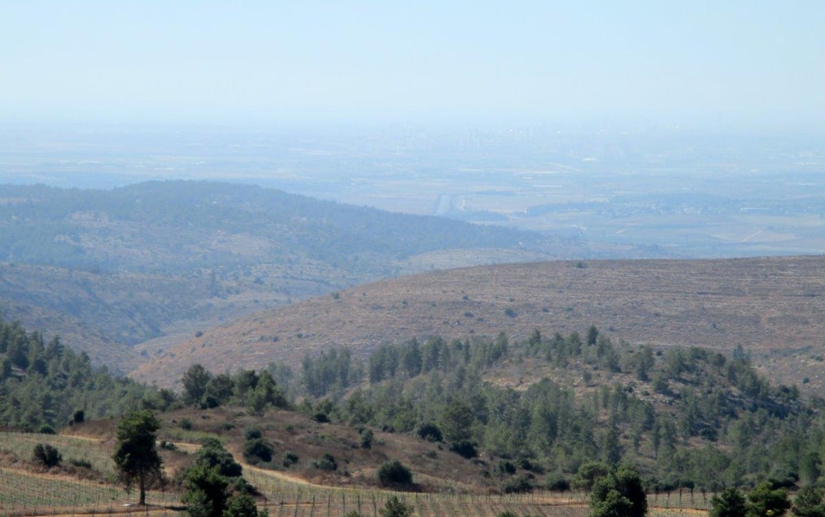 טיול דרך עדשת המצלמה בהרי יהודה הירוקים