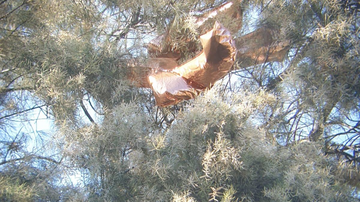 מהבוקר: 28 שריפות מבלוני התבערה מעזה