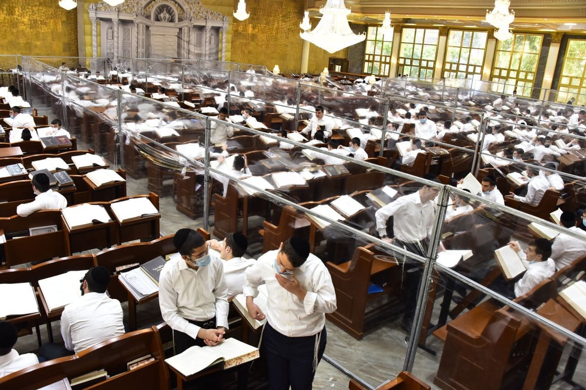 בקפסולות וחמגשיות: זמן אלול ב'סורוצקין'