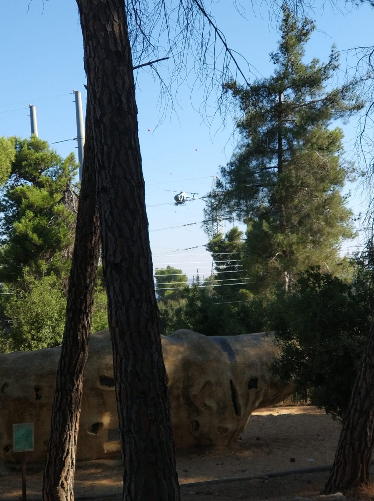 צפו בתיעוד: המסוק שמנקה את חוטי החשמל