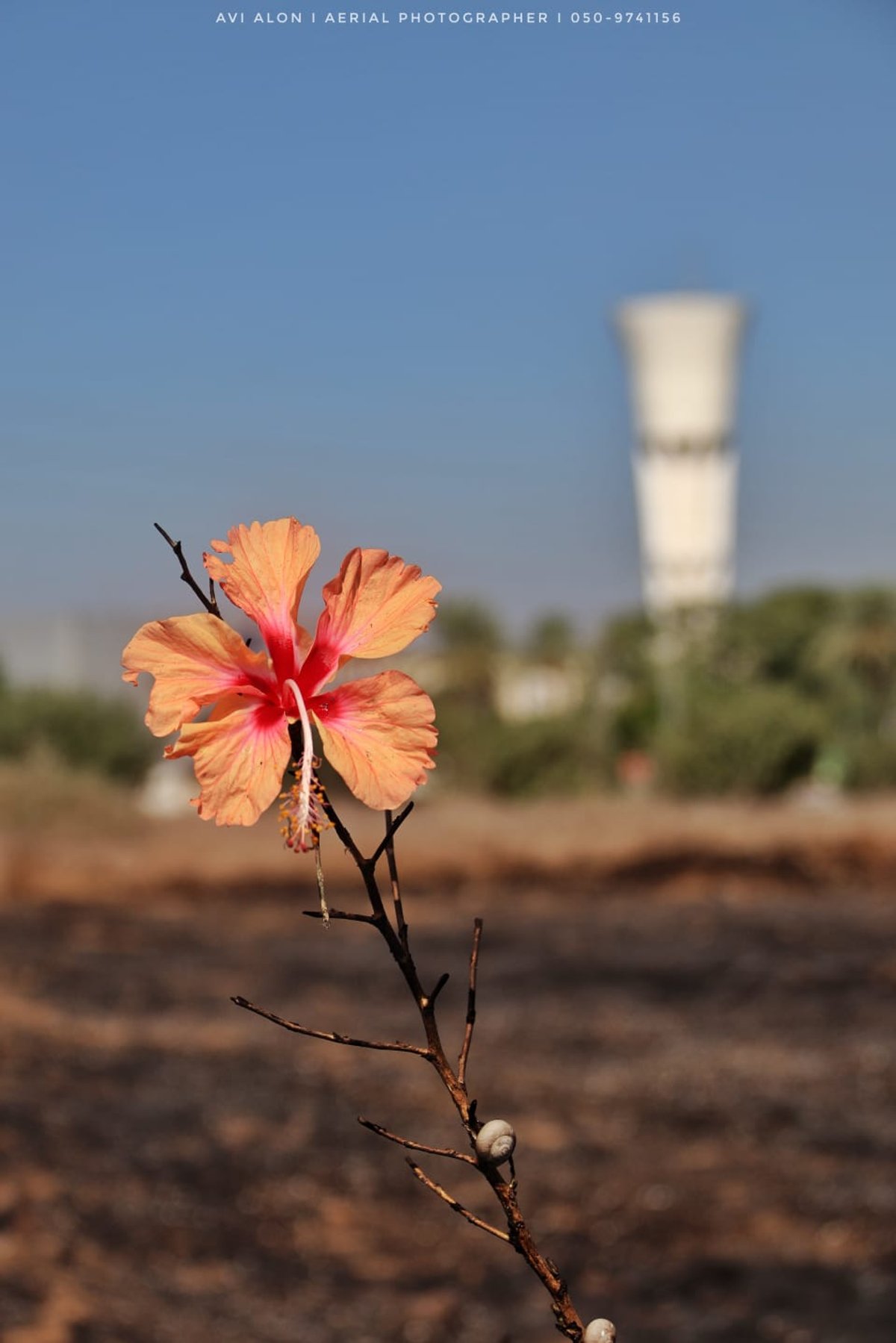 תיעוד מהאוויר: הנזק שנגרם מבלוני תבערה