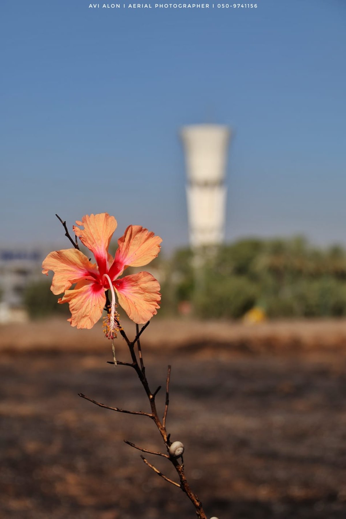 תיעוד מהאוויר: הנזק שנגרם מבלוני תבערה