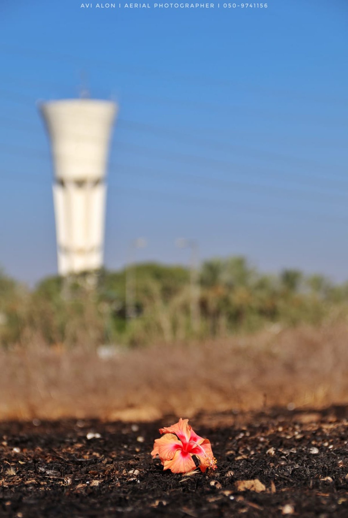 תיעוד מהאוויר: הנזק שנגרם מבלוני תבערה