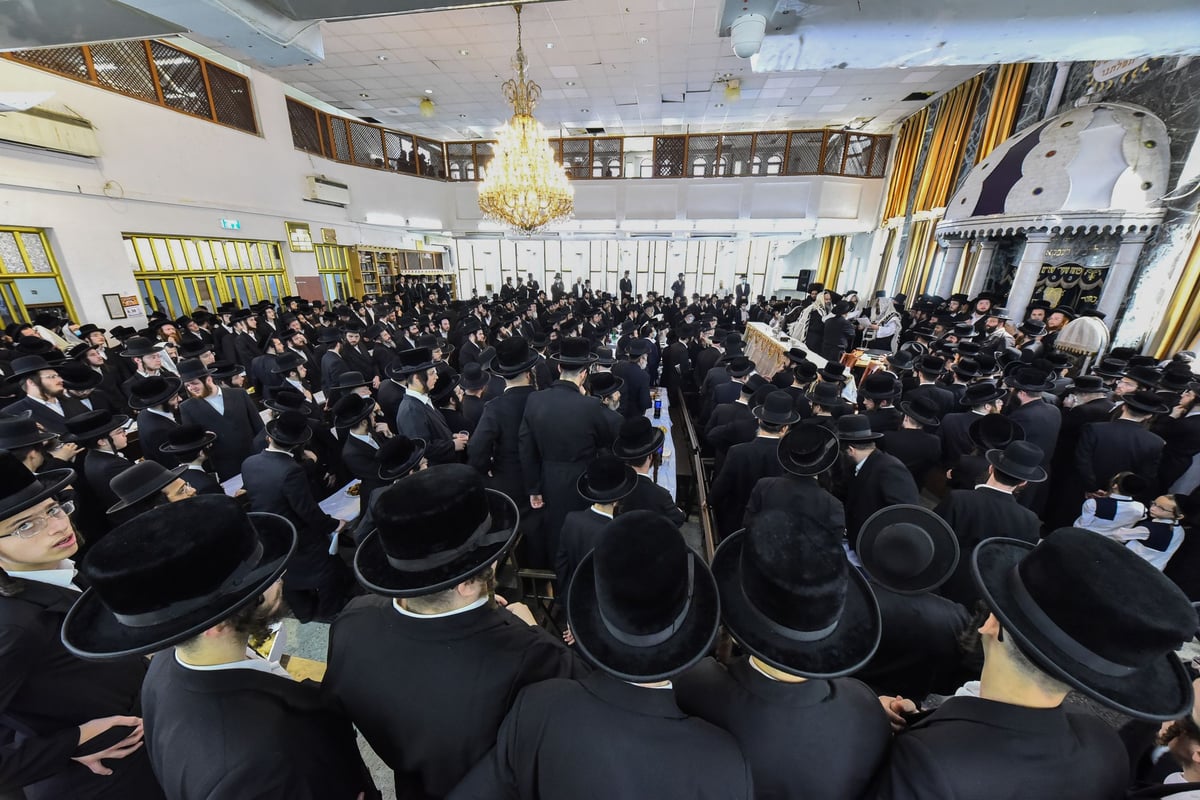 האדמו"ר מויז'ניץ בברית לנכד הרב מייזליש