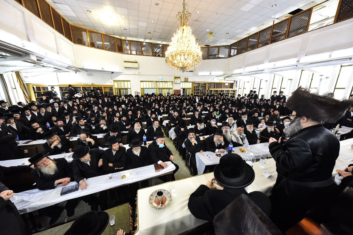 האדמו"ר מויז'ניץ בברית לנכד הרב מייזליש