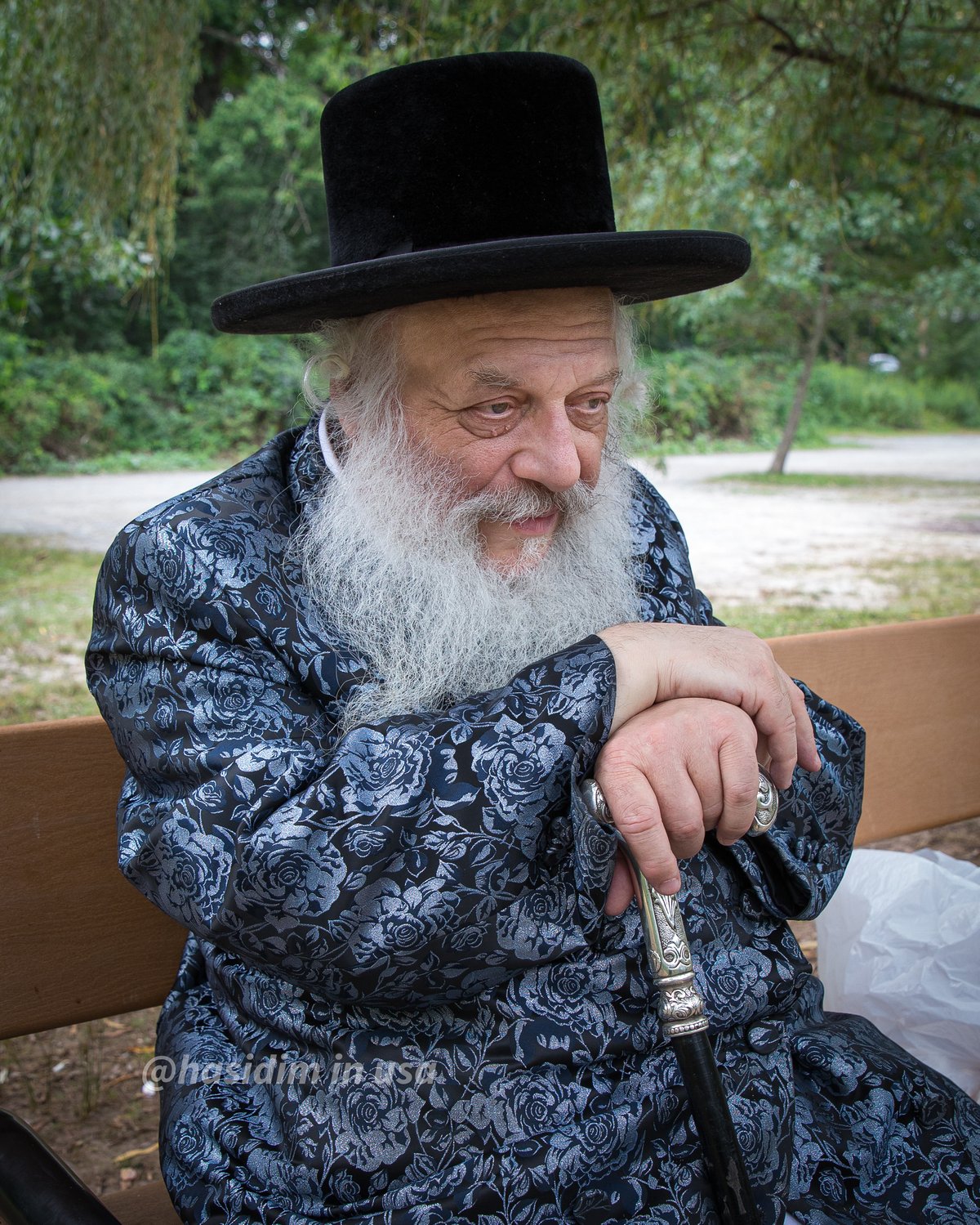 מדהים: האדמו"ר וילדי החמד האכילו ברווזים