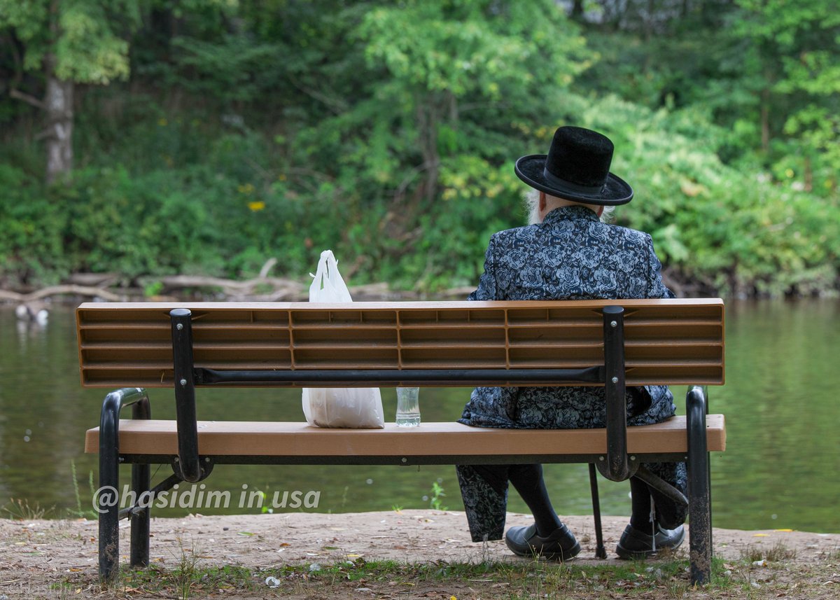 מדהים: האדמו"ר וילדי החמד האכילו ברווזים