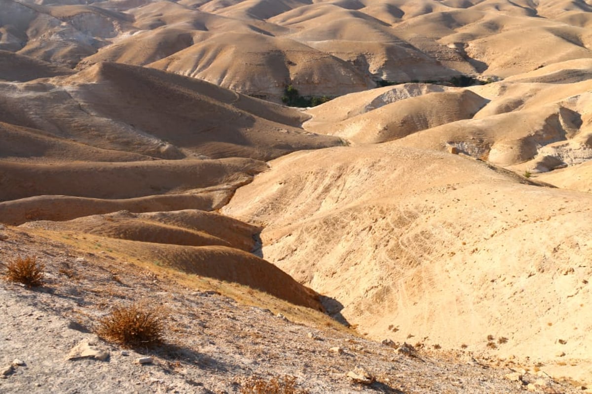 תיעוד מרהיב של שטח A ומצפור ים המלח • צפו