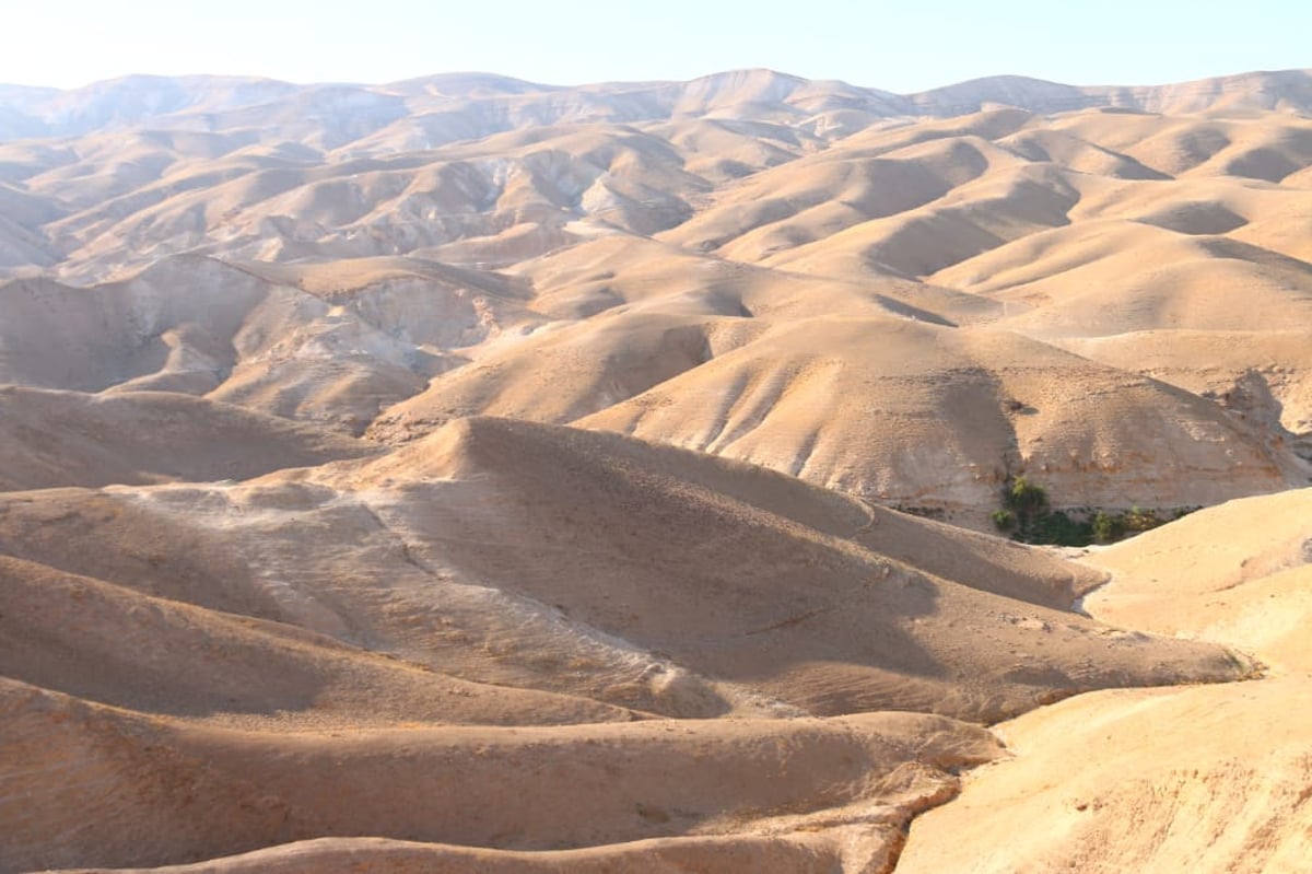 תיעוד מרהיב של שטח A ומצפור ים המלח • צפו