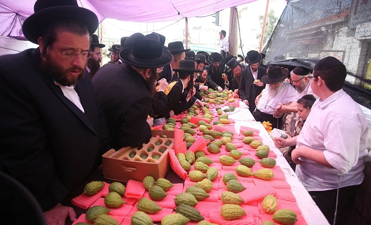 שוק ארבעת המינים. ארכיון