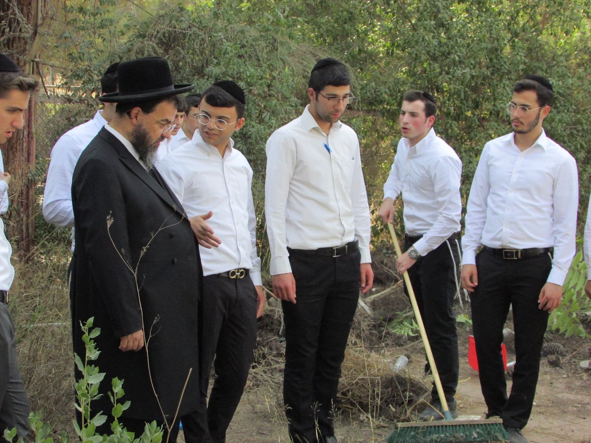 הבריכה הנטושה בישיבה הפכה למקווה • צפו