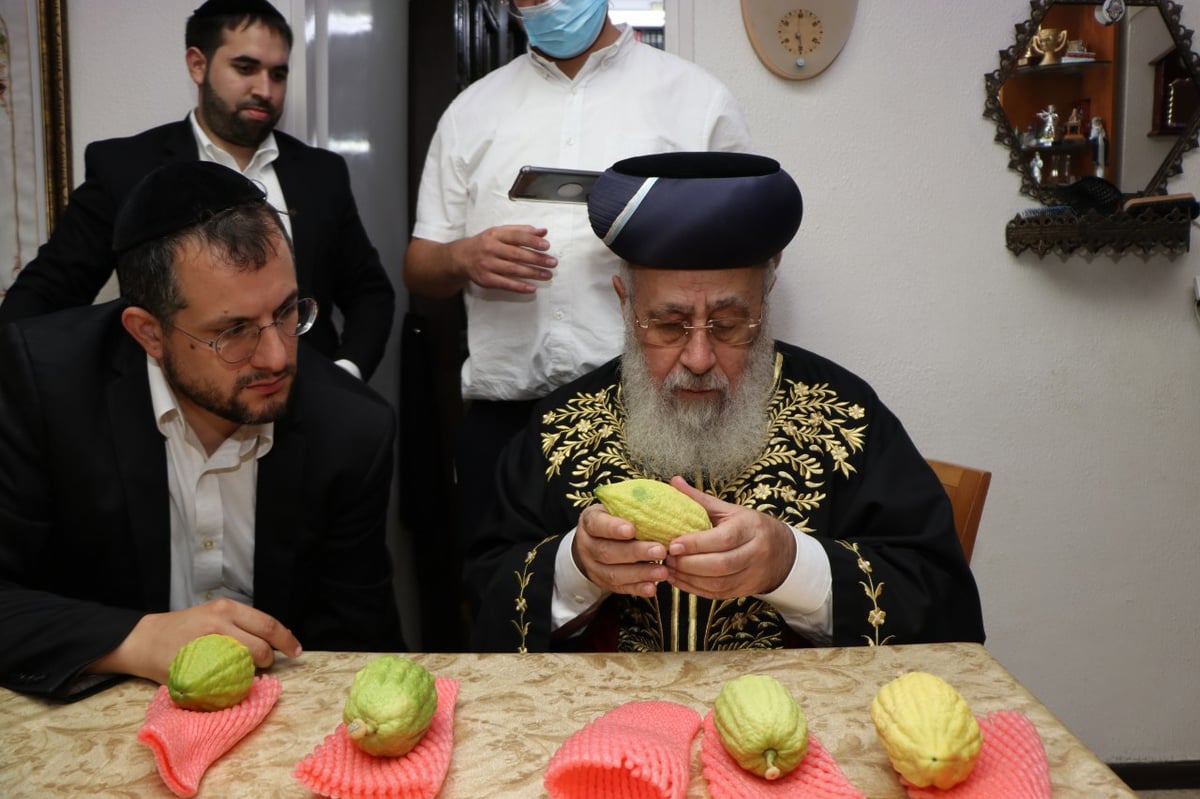 כך הראשון לציון בחר אתרוג מהודר לחג הסוכות. תיעוד