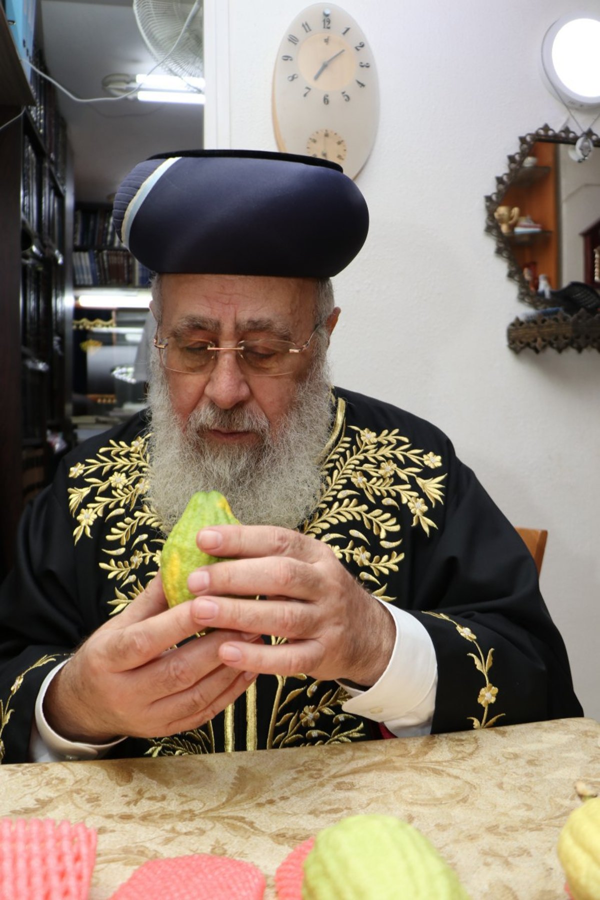 כך הראשון לציון בחר אתרוג מהודר לחג הסוכות. תיעוד