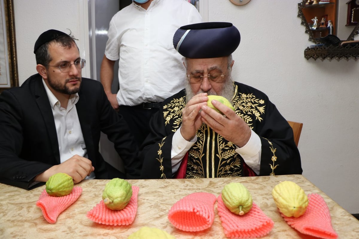 כך הראשון לציון בחר אתרוג מהודר לחג הסוכות. תיעוד