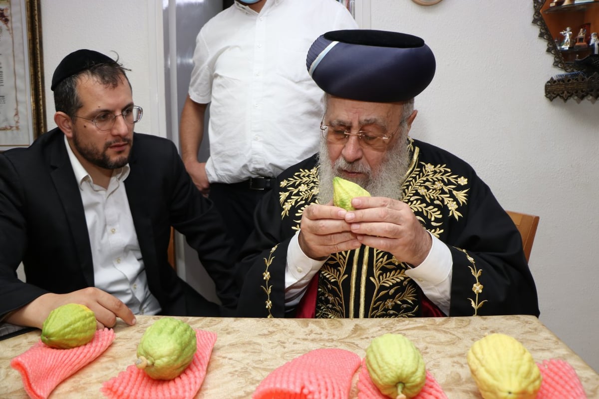 כך הראשון לציון בחר אתרוג מהודר לחג הסוכות. תיעוד