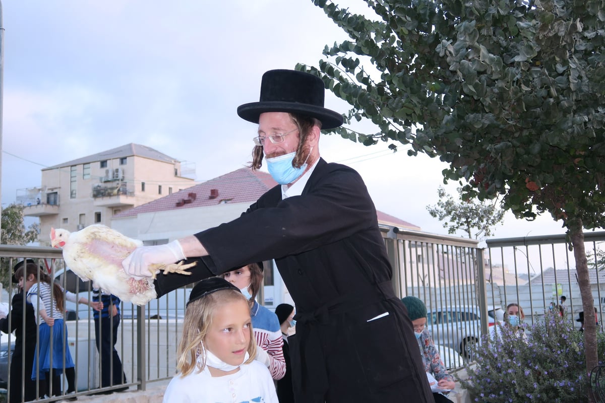 עם מסכות: מנהג הכפרות בביתר עילית