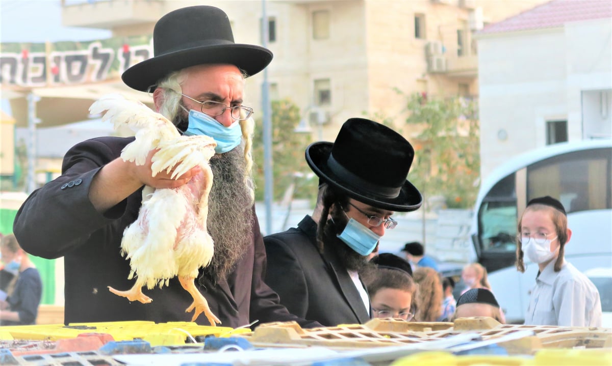 עם מסכות: מנהג הכפרות בביתר עילית