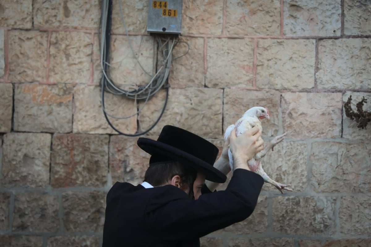 כפרות וארבעת המינים: נערכים לחגי קורונה