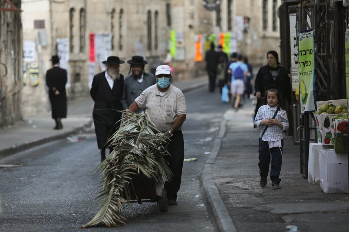 כפרות וארבעת המינים: נערכים לחגי קורונה