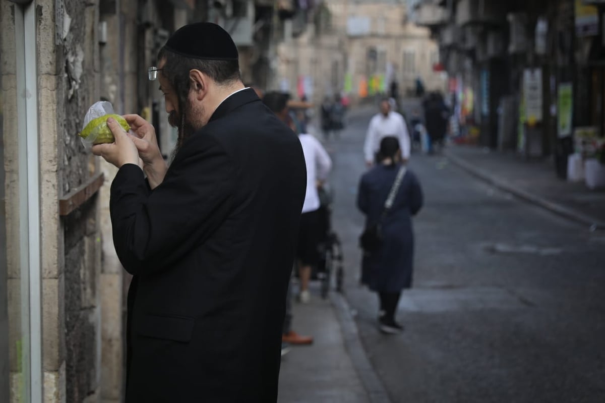 כפרות וארבעת המינים: נערכים לחגי קורונה