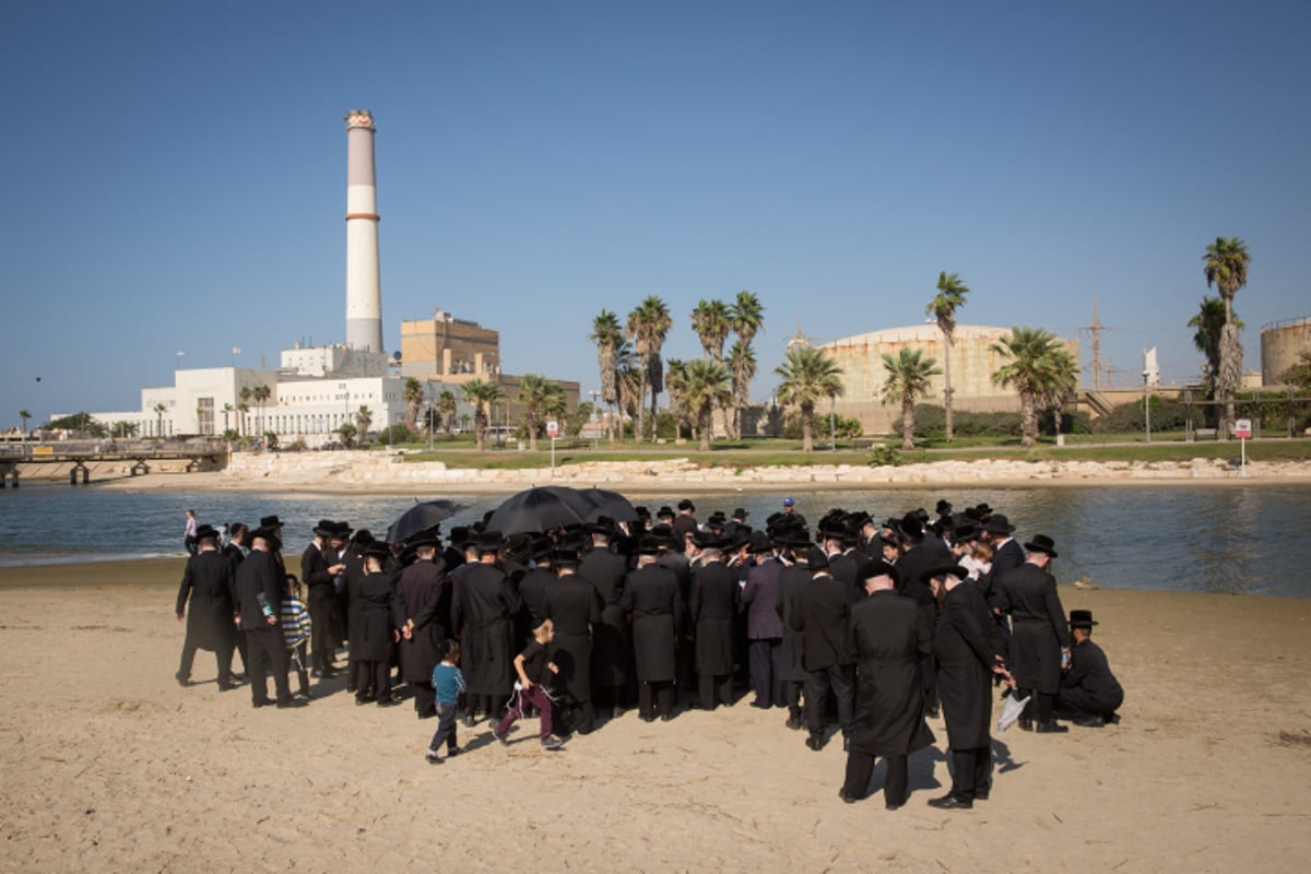 תשליך. ארכיון