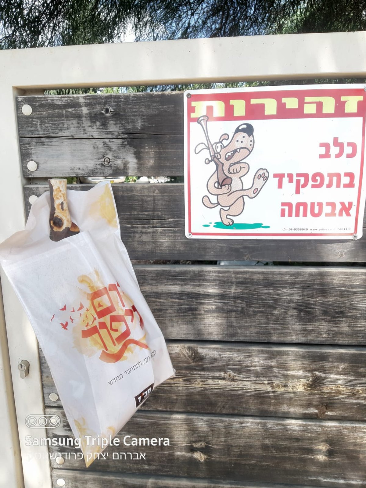 כך התפללו רבבות, בהתאם להנחיות, עם חב"ד