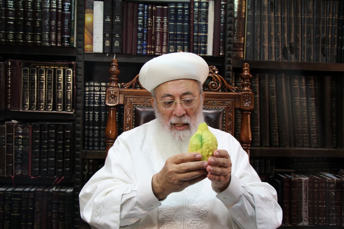 בגלימה לבנה: הראשל"צ הגר"ש עמאר בדק את האתרוג