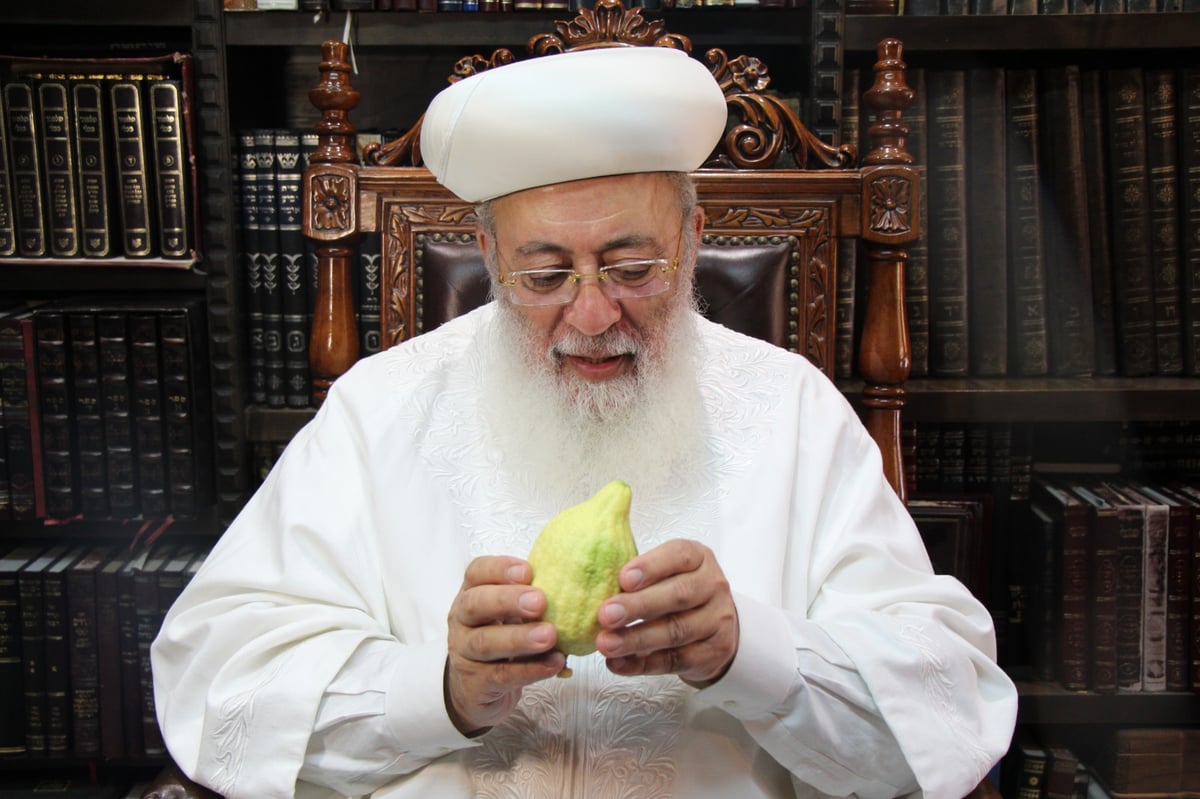 בגלימה לבנה: הראשל"צ הגר"ש עמאר בדק את האתרוג