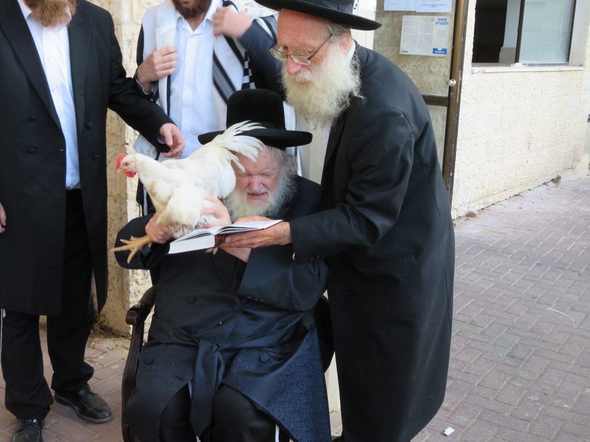 יום הכיפורים אצל הגר"מ שטרנבוך • תיעוד