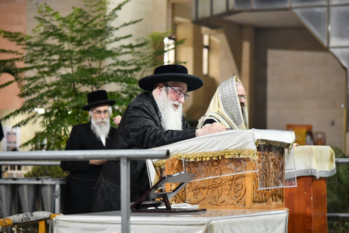 'בלי חסידים' • הרבי מצאנז בכפרות ו'תשליך'