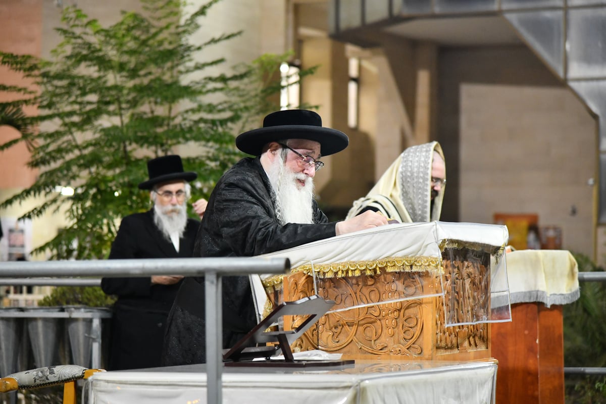 'בלי חסידים' • הרבי מצאנז בכפרות ו'תשליך'