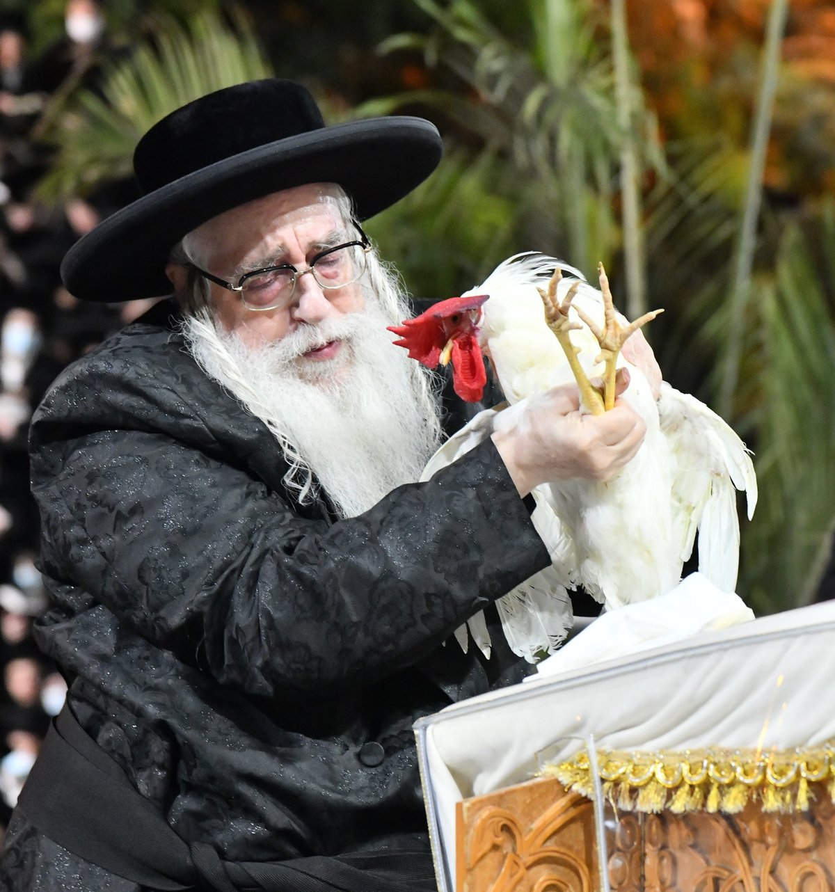 'בלי חסידים' • הרבי מצאנז בכפרות ו'תשליך'