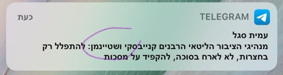 זופניק בכיכר • כל התמונות והנייעס של השבוע