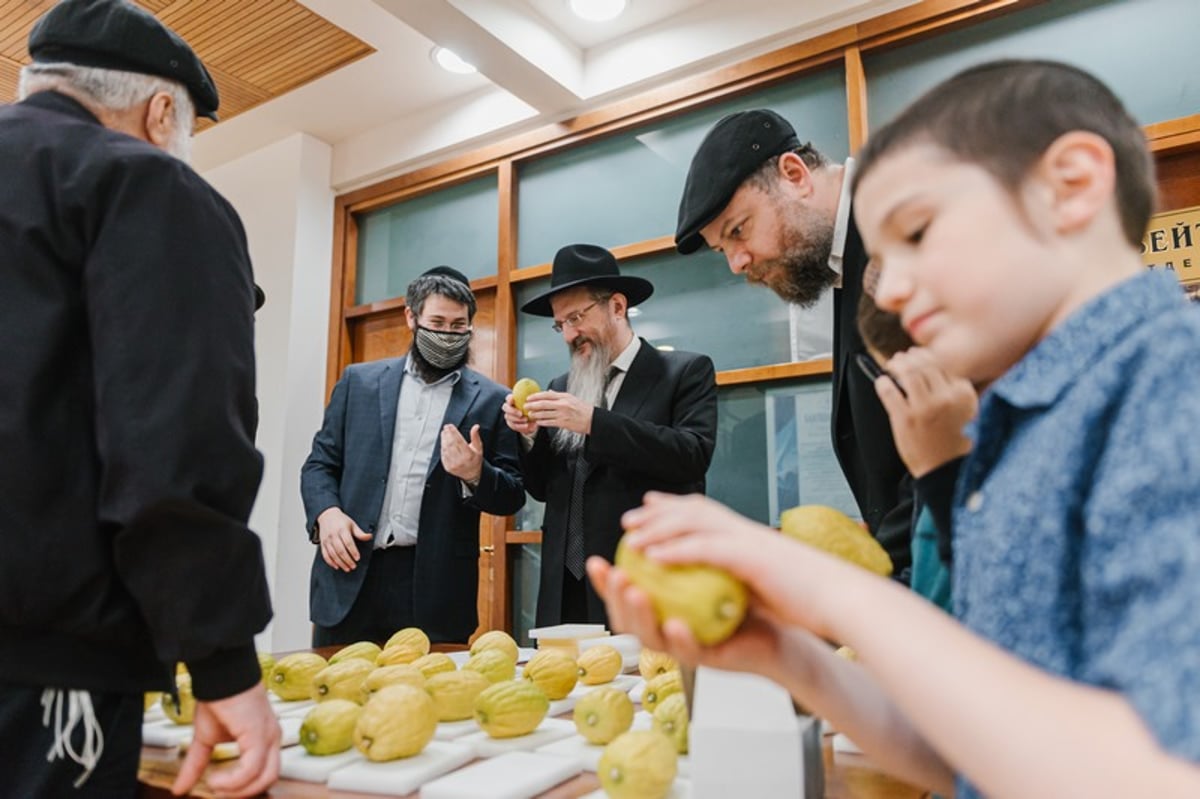 הושלמו ההכנות במוסקבה לקראת חג הסוכות