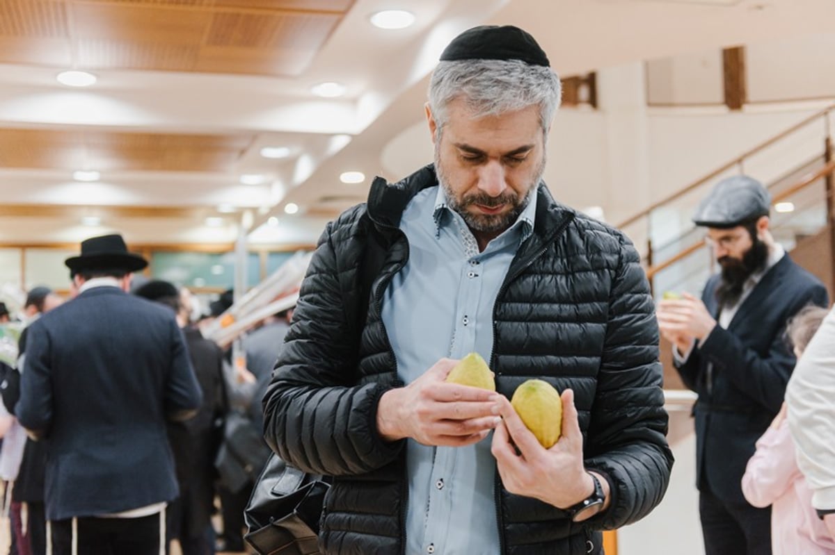 הושלמו ההכנות במוסקבה לקראת חג הסוכות