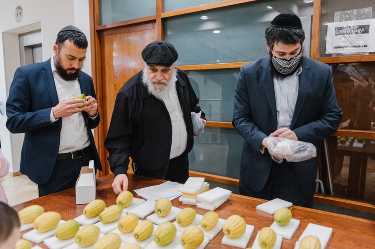 הושלמו ההכנות במוסקבה לקראת חג הסוכות