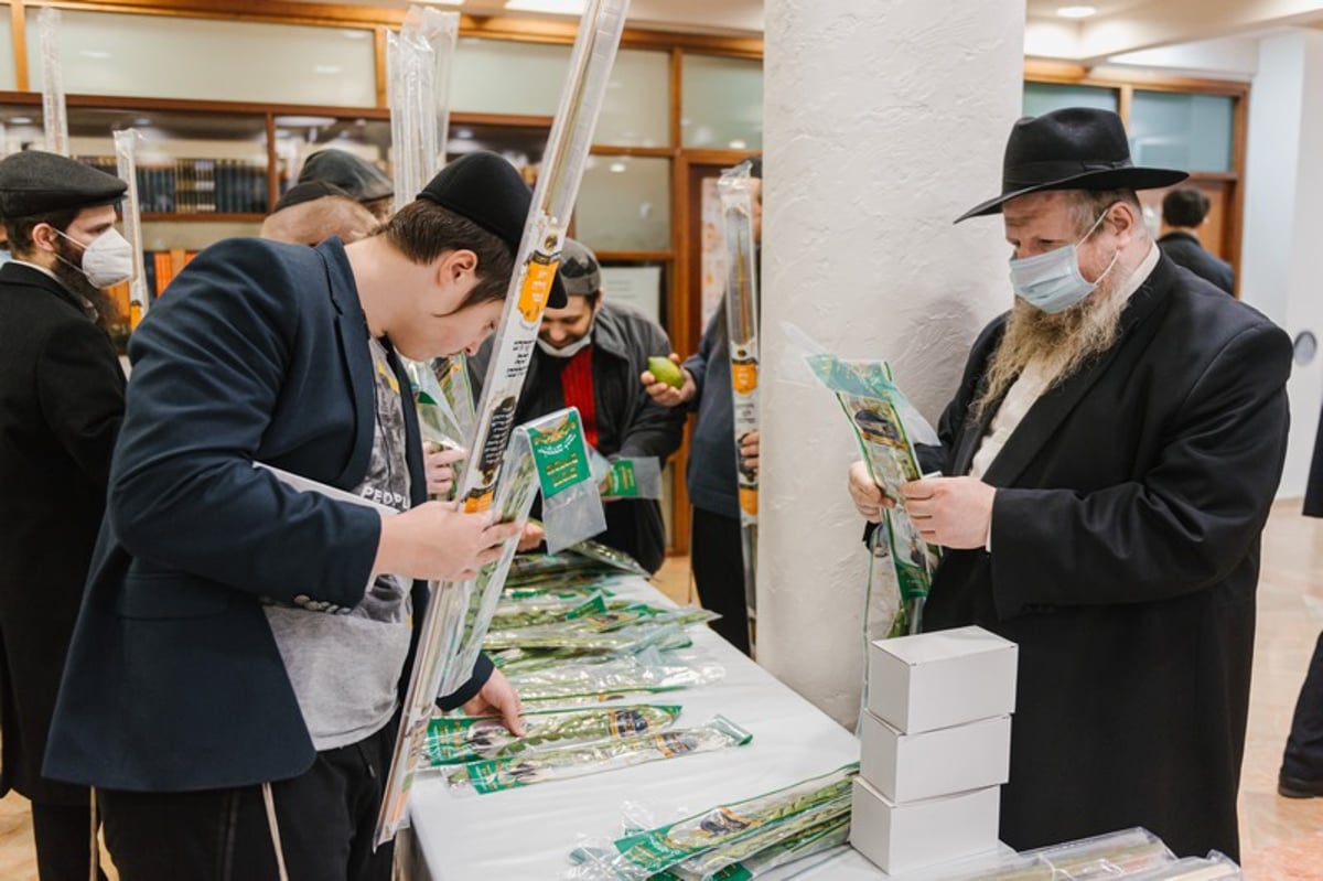 הושלמו ההכנות במוסקבה לקראת חג הסוכות