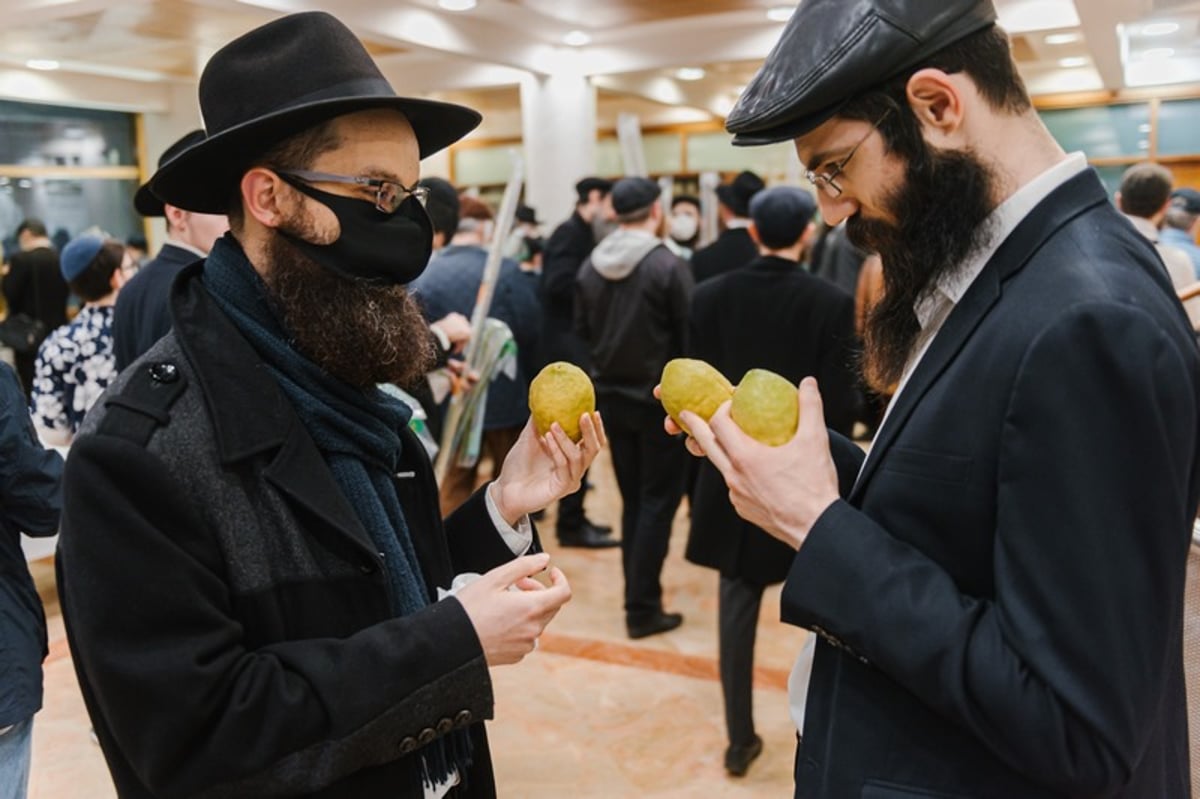 הושלמו ההכנות במוסקבה לקראת חג הסוכות