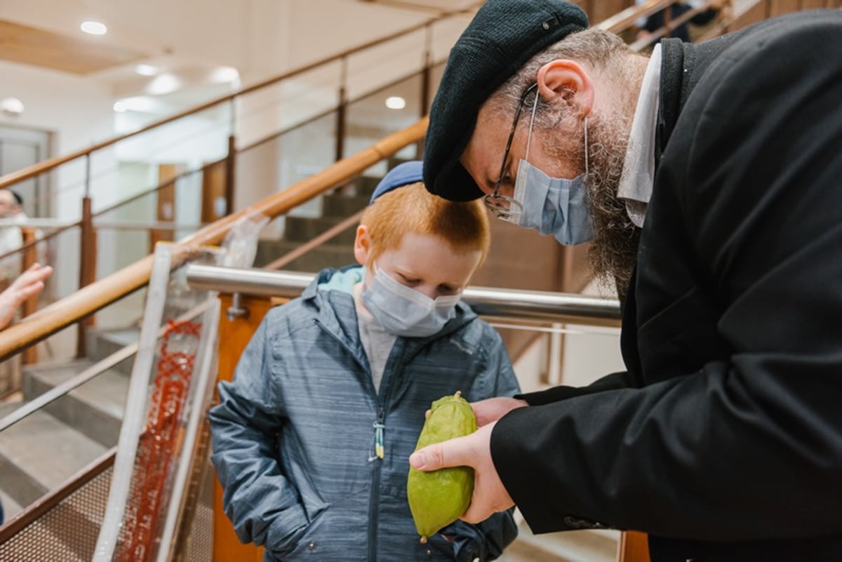 הושלמו ההכנות במוסקבה לקראת חג הסוכות