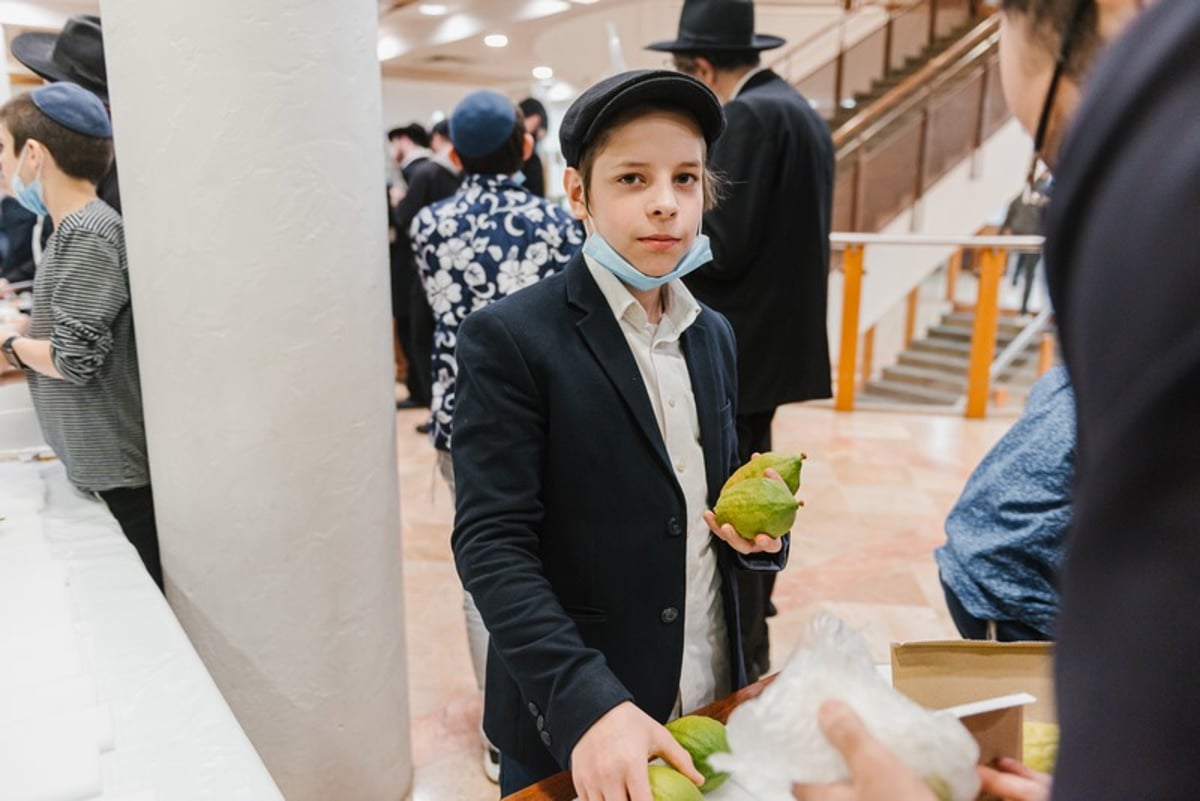 הושלמו ההכנות במוסקבה לקראת חג הסוכות