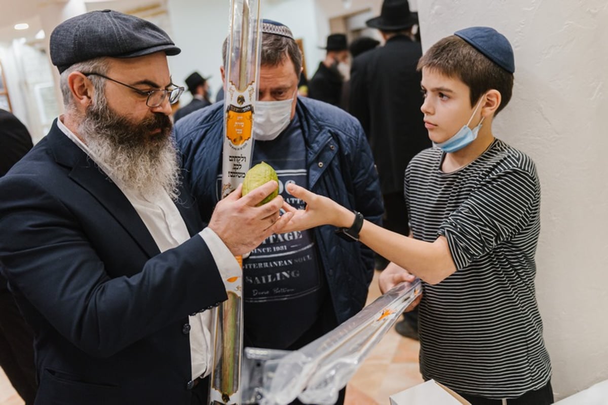 הושלמו ההכנות במוסקבה לקראת חג הסוכות