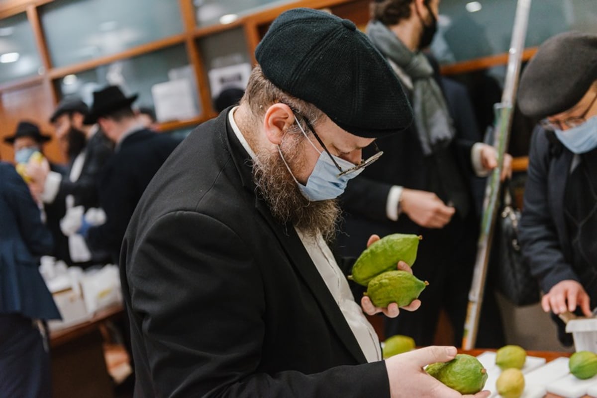 הושלמו ההכנות במוסקבה לקראת חג הסוכות