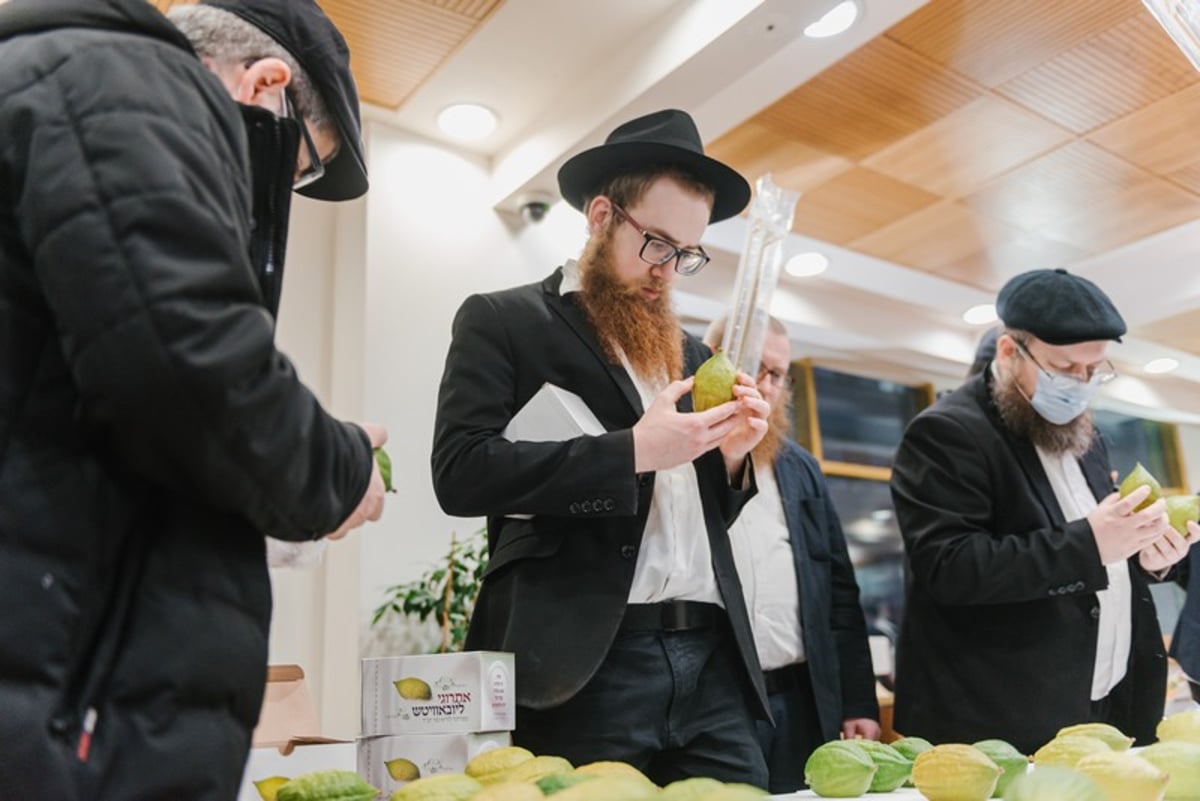 הושלמו ההכנות במוסקבה לקראת חג הסוכות