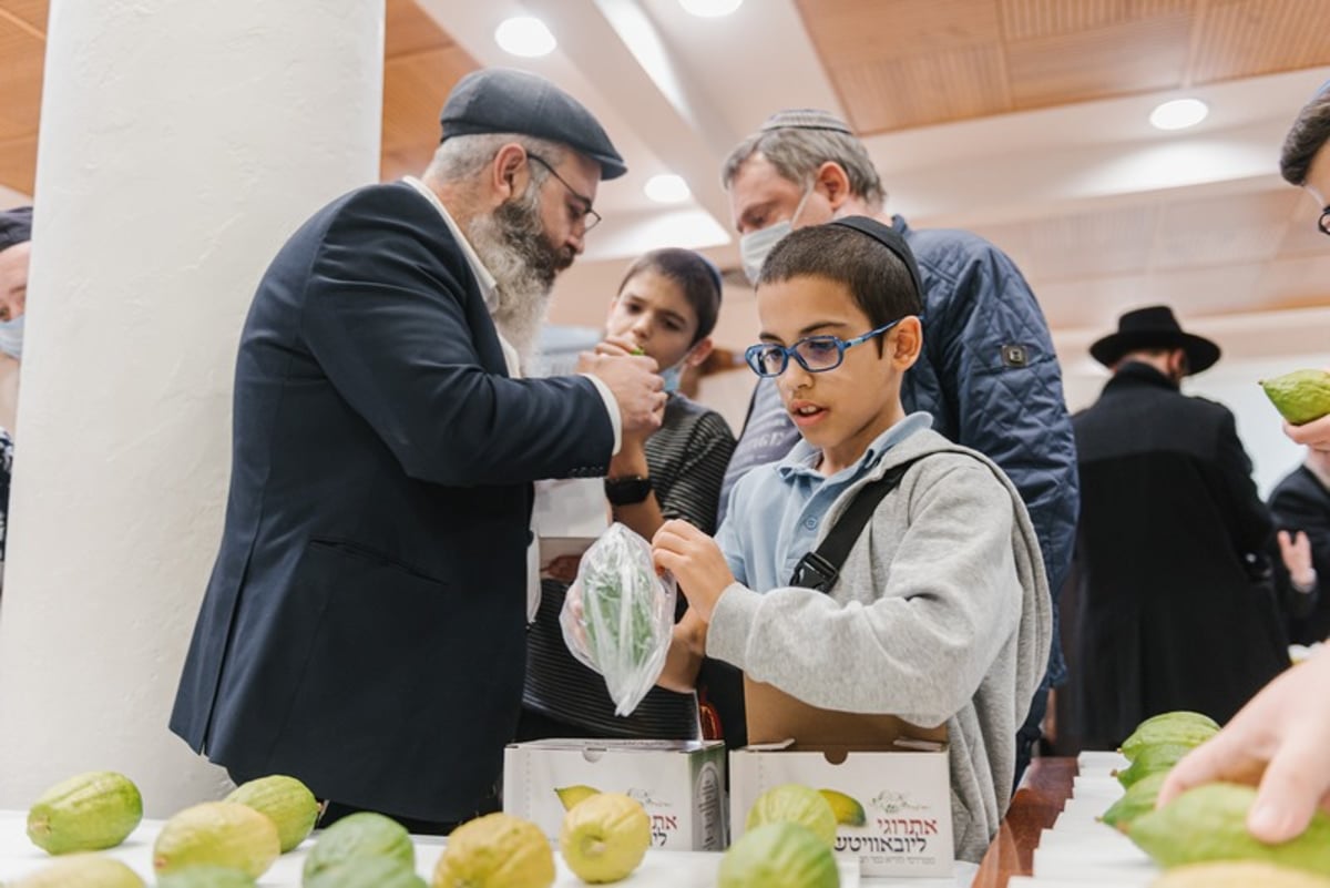 הושלמו ההכנות במוסקבה לקראת חג הסוכות