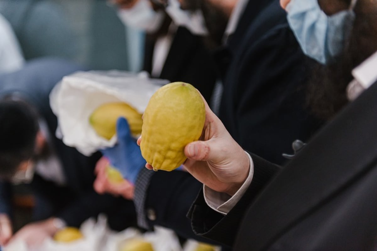 הושלמו ההכנות במוסקבה לקראת חג הסוכות