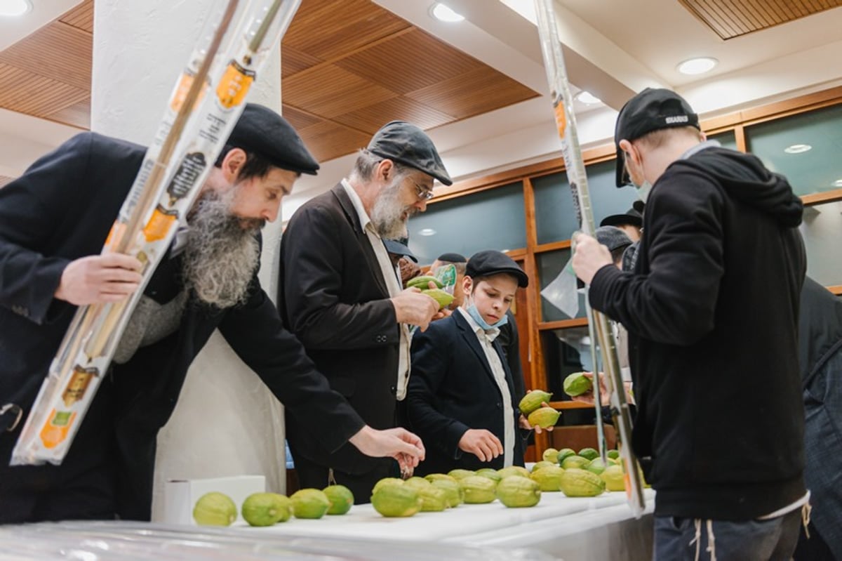 הושלמו ההכנות במוסקבה לקראת חג הסוכות